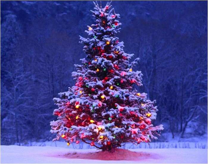 Christmas New Year